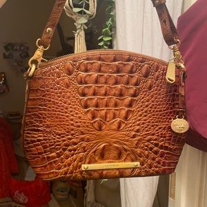 Brahmin Purse